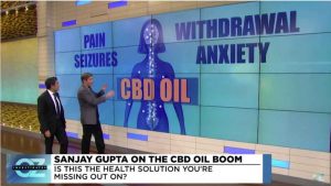 cbd oil and the body