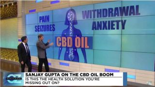 Dr Sanjay Gupta talks about how CBD Oil impacts the body